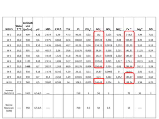 WELLS
Water
T °C
Conducti
vité
(µs/cm) pH MES C.O.D T.N CL- PO4
2- NO3
- NO2
- NH4
+ Ca 2+ Mg2+ DO
W 1 19,6 900 8,32 23,54 0,78 47,3 96,56 0,02 162 0,005 0,01 143,8 7,49 7,02
W 2 18,2 940 8,6 23,75 0,864 62,6 100,82 0,02 202,24 0,048 0,08 150,23 8,25 6,18
W 3 19,5 770 8,55 14,36 0,841 40,7 81,29 0,04 134,31 0,0019 0,002 127,79 5,65 6,13
W 4 19,1 905 8,5 40,57 1,06 20,6 110,76 0,003 58,14 0,018 0,001 141,31 11,25 6,54
W 5 18,8 730 8,8 19,34 1,521 41,8 79,52 0,01 142,3 0,0022 0,002 140,17 5,23 6
W 6 18,8 1129 8,65 23,16 1,694 52,7 146,97 0,03 192,62 0,025 0,027 175,1 10,15 6,22
W 7 20,5 1450 8,7 20,57 1,263 80,9 181,76 0,004 350,46 0,024 0,01 236,96 10,12 5,28
W 8 18,3 930 9,15 14,78 0,342 4,19 29,11 0,11 14,87 0,0006 0 36,91 1,91 6,11
W 9 18,3 930 8,7 51,4 2,264 1,29 149,81 0,055 3,21 0,022 0,052 140,67 10,82 6,62
W 10 17,2 740 8,5 20,02 0,593 34 106,5 0,025 146,43 0,004 0 118,24 9,98 6,25
normes
OMS 2011 ----- 1000 6,5-8,5 ---- 250 3 50 3 75 50 2
Norme
Marocain
(VLM)
----- 750 6,5-8,5 ----- 750 0.5 50 0.5 50 -----
 