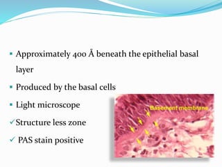 Oral epithelium | PPTX