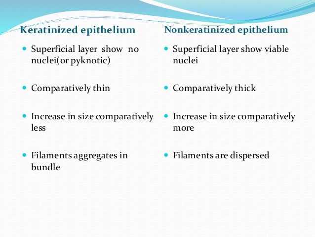 oral epithelium 10 638