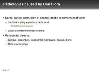 Pathologies caused by Oral Flora


 Dental caries: destruction of enamel, dentin or cementum of teeth
  – bacteria in plaque produce lactic acid
            Streptococcus mutans

  – Lactic acid demineralizes enamel

 Periodontal disease
  – Gingiva, cementum, periodontal membrane, alveolar bone
  – Rich in anaerobes




Page  12
 