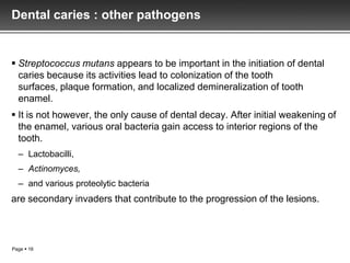 Dental caries : other pathogens


 Streptococcus mutans appears to be important in the initiation of dental
  caries because its activities lead to colonization of the tooth
  surfaces, plaque formation, and localized demineralization of tooth
  enamel.
 It is not however, the only cause of dental decay. After initial weakening of
  the enamel, various oral bacteria gain access to interior regions of the
  tooth.
  – Lactobacilli,
  – Actinomyces,
  – and various proteolytic bacteria
are secondary invaders that contribute to the progression of the lesions.



Page  16
 