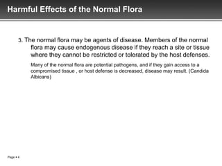 Harmful Effects of the Normal Flora


       3. The normal flora may be agents of disease. Members of the normal
           flora may cause endogenous disease if they reach a site or tissue
           where they cannot be restricted or tolerated by the host defenses.
           Many of the normal flora are potential pathogens, and if they gain access to a
           compromised tissue , or host defense is decreased, disease may result. (Candida
           Albicans)




Page  4
 