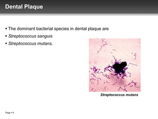 Dental Plaque


 The dominant bacterial species in dental plaque are
 Streptococcus sanguis
 Streptococcus mutans,




                                                Streptococcus mutans



Page  8
 