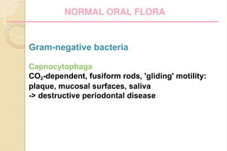 Fuiform Rods Oral Flora & Plaque structure and function.ppt