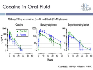 Cocaine in Oral Fluid  150 mg/70 kg sc cocaine, (N=14 oral fluid) (N=13 plasma) Courtesy, Marilyn Huestis, NIDA 