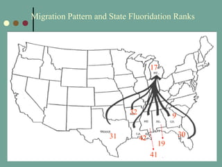 31 42 32 41 19 9 30 17 Migration Pattern and State Fluoridation Ranks 