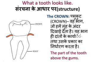 star smile makeover Opportunities For Everyone