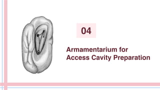 Armamentarium for
Access Cavity Preparation
04
 