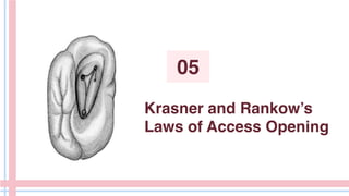 Krasner and Rankow’s
Laws of Access Opening
05
 