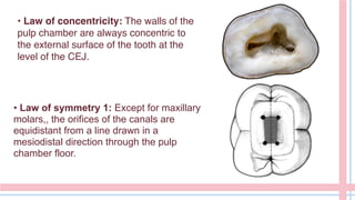 • Law of concentricity: The walls of the
pulp chamber are always concentric to
the external surface of the tooth at the
level of the CEJ.
• Law of symmetry 1: Except for maxillary
molars,, the orifices of the canals are
equidistant from a line drawn in a
mesiodistal direction through the pulp
chamber floor.
 
