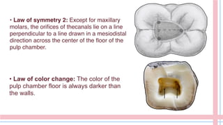 • Law of symmetry 2: Except for maxillary
molars, the orifices of thecanals lie on a line
perpendicular to a line drawn in a mesiodistal
direction across the center of the floor of the
pulp chamber.
• Law of color change: The color of the
pulp chamber floor is always darker than
the walls.
 