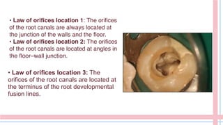 • Law of orifices location 1: The orifices
of the root canals are always located at
the junction of the walls and the floor.
• Law of orifices location 2: The orifices
of the root canals are located at angles in
the floor–wall junction.
• Law of orifices location 3: The
orifices of the root canals are located at
the terminus of the root developmental
fusion lines.
 