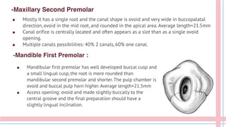 -Maxillary Second Premolar
● Mandibular first premolar has well developed buccal cusp and
a small lingual cusp, the root is more rounded than
mandibular second premolar and shorter. The pulp chamber is
ovoid and buccal pulp horn higher. Average length=21.5mm
● Access opening: ovoid and made slightly buccally to the
central groove and the final preparation should have a
slightly lingual inclination.
-Mandible First Premolar :
● Mostly it has a single root and the canal shape is ovoid and very wide in buccopalatal
direction, ovoid in the mid root, and rounded in the apical area. Average length=21.5mm
● Canal orifice is centrally located and often appears as a slot than as a single ovoid
opening.
● Multiple canals possibilities: 40% 2 canals, 60% one canal.
 
