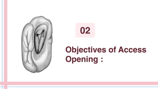 Objectives of Access
Opening :
02
 