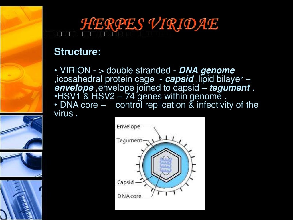 Thesis statement about herpes 02 image