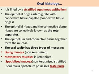 Wpithelial Ridge Formation Oral Histology for dental students 2024.pptx