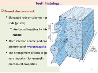 Interlocking Enamel Rods Oral Histology -2024.pptx fot DDM Students | PPTX