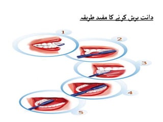 ‫یقہ‬‫ر‬‫ط‬‫مفید‬‫کا‬‫کرنے‬‫برش‬‫دانت‬
 