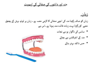 ‫م‬
‫کی‬‫صفائی‬‫کی‬‫دانتوں‬‫ر‬‫او‬‫نہ‬
‫اہمیت‬
‫زبان‬
‫کو‬‫زبان‬
‫ٹوتھ‬ ‫پر‬‫زبان‬،‫ےہ‬‫حصہ‬‫الزمی‬‫کا‬ ‫صفائی‬‫اچھی‬‫کی‬‫منہ‬‫رکھنا‬‫صاف‬
‫پچھےل‬‫کے‬ ‫برش‬
‫سے‬‫ےہ۔اس‬‫ہوتا‬ ‫مند‬ ‫فائدہ‬‫زیادہ‬‫بہت‬‫نا‬‫ڑ‬‫رگ‬‫کو‬ ‫حصے‬
•
‫بو‬‫ناگوار‬‫کی‬‫سانس‬
‫نجات‬‫سے‬
•
‫سے‬ ‫انفیکشن‬‫کے‬ ‫منہ‬
‫بچائے‬
•
‫بہتر‬‫قہ‬‫ذائ‬‫حس‬
‫بنائے‬
 