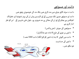 ‫ھے‬‫ڑ‬‫مسو‬‫ر‬‫او‬‫دانت‬
‫بڑھ‬ ‫تی‬‫ر‬‫خوبصو‬‫کی‬ ‫منہ‬‫بلکہ‬‫ھیں‬ ‫کرتے‬ ‫مدد‬‫میں‬‫چبانے‬ ‫کاٹےن‬ ‫صرف‬‫نہ‬‫دانت‬
‫ھیں‬ ‫ےت‬
‫ن‬‫و‬‫نشو‬‫بہتر‬ ‫کی‬ ‫ان‬‫وہاں‬‫ہیں‬ ‫الزم‬‫لےئ‬‫کے‬ ‫ے‬‫دوسر‬‫ایک‬‫جیسے‬ ‫ھے‬‫ڑ‬‫مسو‬ ‫ر‬‫او‬‫دانت‬
‫ناک‬‫ر‬‫خط‬ ‫ر‬‫او‬‫ما‬
‫م‬‫طبی‬ ‫بقول‬‫ےہ۔‬ ‫ی‬‫ر‬‫و‬‫ضر‬‫حد‬‫بے‬ ‫صفائی‬‫کی‬ ‫ان‬‫لےئ‬ ‫کے‬ ‫بچاوئ‬ ‫سے‬‫انفیکشن‬
‫نظر‬ ‫کو‬‫اس‬ ‫کے‬ ‫اہرین‬
‫سے‬‫کرنے‬ ‫انداز‬
•
‫ش‬‫ز‬‫سو‬‫کی‬ ‫ھوں‬‫ڑ‬‫مسو‬
(
‫ٹس‬‫وائ‬‫جنی‬
)
•
‫جانا‬‫جم‬ ‫مادہ‬‫کا‬ ‫طرح‬ ‫کی‬‫چونے‬‫پر‬‫دانتوں‬
(
‫ٹر‬‫ر‬‫ٹا‬
)
•
‫لگنا‬‫ا‬‫ڑ‬‫کی‬‫کو‬‫دانتوں‬‫یا‬‫بننا‬ ‫کا‬ ‫کیوٹی‬‫میں‬‫دانت‬
(
‫حصہ‬ ‫کاکاال‬‫دانت‬
)
•
‫کی‬‫دانتوں‬
‫حساسیت‬
‫ھیں۔‬ ‫ےت‬‫سک‬‫ھو‬
 