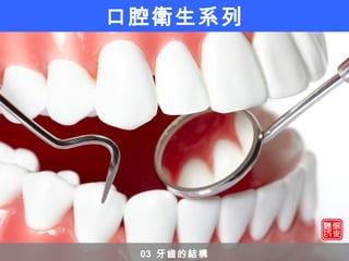 口腔衛生系列
03 牙齒的結構
 