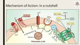 Mechanism of Action: In a nutshell
 