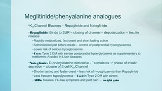 Meglitinide/phenyalanine analogues
•KATP Channel Blockers – Repaglinide and Nateglinide
•Repaglinide: Binds to SUR – closing of channel – depolarization – Insulin
release
–Rapidly metabolized, fast onset and short lasting action
–Administered just before meals - control of postprandial hyperglycaemia
–Lower risk of serious hypoglycaemia
–Uses: Type 2 DM with severe postprandial hyperglycaemia as supplementary to
metformin; Avoided in Liver diseases
•Nateglinide: D-phenylalanine derivative - ` stimulates 1st
phase of insulin
secretion – closure of β cell KATP Channel
–Shorter lasting and faster onset – less risk of hypoglycaemia than Repaglinide
–Less frequent hypoglycaemia – Used in Type 2 DM with others
–ADRs: Nausea, Flu like symptoms and joint pain … weight gain
 