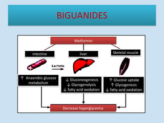 BIGUANIDES
Metformin
Decrease hyperglycemia
intestine liver Skeletal muscle
↑ Anaerobic glucose
metabolism
↓ Gluconeogenesis
↓ Glycogenolysis
↓ fatty acid oxidation
↑ Glucose uptake
↑ Glycogenesis
↓ fatty acid oxidation
 