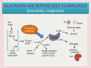 GLUCAGON LIKE PEPTIDE (GLP-1) ANALOGUE
(Exenatide, Liraglutide)
Exenatide,
Liraglutide
 