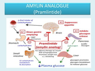 AMYLIN ANALOGUE
(Pramlintide)
 