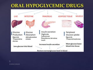 ORAL HYPOGLYCEMIC DRUGS
 