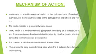 MECHANISM OF ACTION:
 Insulin acts on specific receptors located on the cell membrane of practically
every cell, but their density depends on the cell type: liver and fat cells are very
rich.
 The insulin receptor is a receptor tyrosine kinase
 (RTK) which is a heterotetrameric glycoprotein consisting of 2 extracellular a
and 2 transmembranes B subunits linked together by disulfide bonds, orienting
across the cell membrane as a heterodimer
 It is oriented across the cell membrane as a heterodimer.
 The A subunits carry insulin binding sites, while the B subunits have tyrosine
kinase activity.
 