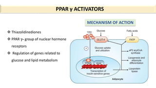 PPAR γ ACTIVATORS
 Thiazolidinediones
 PPAR γ- group of nuclear hormone
receptors
 Regulation of genes related to
glucose and lipid metabolism
MECHANISM OF ACTION
 