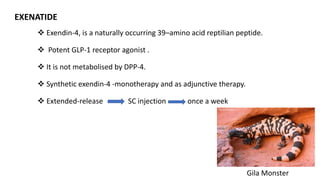 EXENATIDE
 Exendin-4, is a naturally occurring 39–amino acid reptilian peptide.
 Potent GLP-1 receptor agonist .
 It is not metabolised by DPP-4.
 Synthetic exendin-4 -monotherapy and as adjunctive therapy.
 Extended-release SC injection once a week
Gila Monster
 