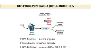 DIPEPTIDYL PEPTIDASE-4 (DPP-4) INHIBITORS
 DPP-4 enzyme - a serine protease
 Spread widely throughout the body
 DPP-4 inhibitors - increases AUC of GLP-1 & GIP
 