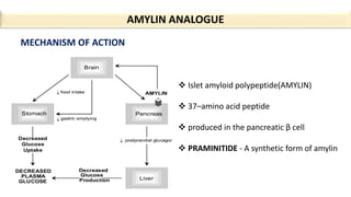 AMYLIN ANALOGUE
MECHANISM OF ACTION
 Islet amyloid polypeptide(AMYLIN)
 37–amino acid peptide
 produced in the pancreatic β cell
 PRAMINITIDE - A synthetic form of amylin
 
