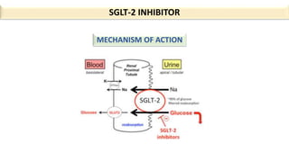 SGLT-2 INHIBITOR
MECHANISM OF ACTION
 