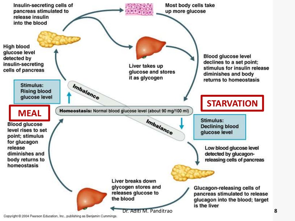 Oral hypoglycemic agents in diabetes