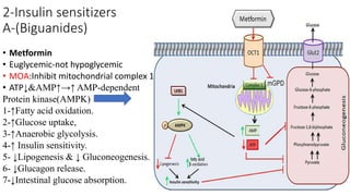Oral hypoglycemic drugs | PPTX