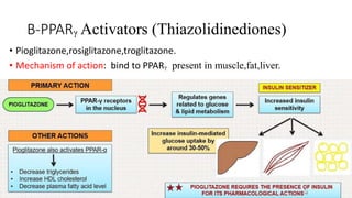 B-PPARᵧ Activators (Thiazolidinediones)
• Pioglitazone,rosiglitazone,troglitazone.
• Mechanism of action: bind to PPARᵧ present in muscle,fat,liver.
 