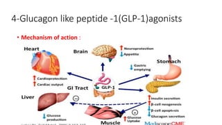 4-Glucagon like peptide -1(GLP-1)agonists
• Mechanism of action :
 