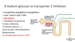 9-Sodium-glucose co-transporter 2 inhibitors
• Canagliflozin,dapagliflozin,empagliflozin.
• used orally in type 2 DM.
• Side effects:
1-↑Incidence of genital &
Urinary infections.
2-Osmotic diuresis →
Intravascular volumeDepletion
&hypotension
Contraindicated with low GFR
 
