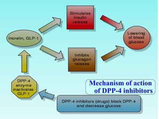 Mechanism of action
of DPP-4 inhibitors
 