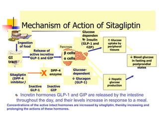 Mechanism of Action of Sitagliptin
Incretin hormones GLP-1 and GIP are released by the intestine
throughout the day, and their levels increase in response to a meal.
Concentrations of the active intact hormones are increased by sitagliptin, thereby increasing and
prolonging the actions of these hormones.
Release of
active incretins
GLP-1 and GIP  Blood glucose
in fasting and
postprandial
states
Ingestion
of food
 Glucagon
(GLP-1)
 Hepatic
glucose
production
GI
tract
DPP-4
enzyme
Inactive
GLP-1
X
Sitagliptin
(DPP-4
inhibitor)
 Insulin
(GLP-1 and
GIP)
Glucose-
dependent
Glucose
dependen
t
Pancreas
Inactive
GIP
β cells
α cells
 Glucose
uptake by
peripheral
tissues
30
 