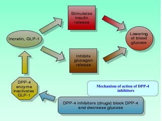 Mechanism of action of DPP-4
inhibitors
 