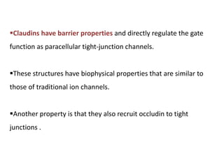 Claudins have barrier properties and directly regulate the gate
function as paracellular tight-junction channels.
These structures have biophysical properties that are similar to
those of traditional ion channels.
Another property is that they also recruit occludin to tight
junctions .
 