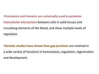 Connexins and innexins are universally used to promote
intercellular interactions between cells in solid tissues and
circulating elements of the blood, and show multiple levels of
regulation.
Genetic studies have shown that gap junctions are involved in
a wide variety of functions in homeostasis, regulation, regeneration
and development.
 