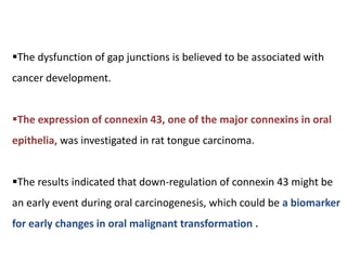 The dysfunction of gap junctions is believed to be associated with
cancer development.
The expression of connexin 43, one of the major connexins in oral
epithelia, was investigated in rat tongue carcinoma.
The results indicated that down-regulation of connexin 43 might be
an early event during oral carcinogenesis, which could be a biomarker
for early changes in oral malignant transformation .
 