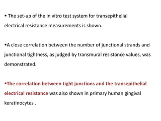  The set-up of the in vitro test system for transepithelial
electrical resistance measurements is shown.
A close correlation between the number of junctional strands and
junctional tightness, as judged by transmural resistance values, was
demonstrated.
The correlation between tight junctions and the transepithelial
electrical resistance was also shown in primary human gingival
keratinocytes .
 