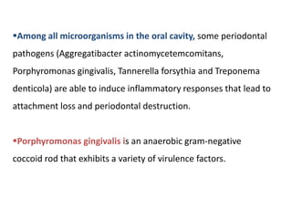 Among all microorganisms in the oral cavity, some periodontal
pathogens (Aggregatibacter actinomycetemcomitans,
Porphyromonas gingivalis, Tannerella forsythia and Treponema
denticola) are able to induce inflammatory responses that lead to
attachment loss and periodontal destruction.
Porphyromonas gingivalis is an anaerobic gram-negative
coccoid rod that exhibits a variety of virulence factors.
 